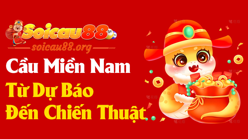 Cầu Miền Nam: Từ Dự Báo Đến Chiến Thuật Lựa Chọn