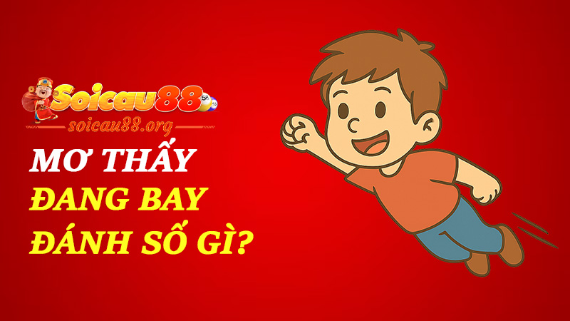 Mơ thấy đang bay đánh số gì để không chỉ bay trong mơ mà còn bay cả ví?