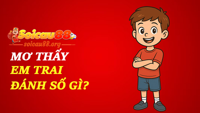Mơ thấy em trai đánh số gì để vận may nhỏ mà lợi nhuận thì to?