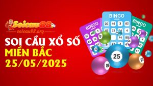 Soi Cầu Xổ Số Miền Bắc 25/05/2025 – Một ngày, một cầu, một phát ăn liền!