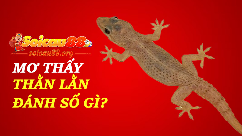 Mơ thấy thằn lằn đánh số gì để lộc bò tới từng bước chậm mà chắc?