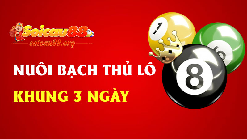 Nuôi bạch thủ lô khung 3 ngày – Chiến lược vừa lì vừa lời, đánh nhẹ mà ăn chắc!